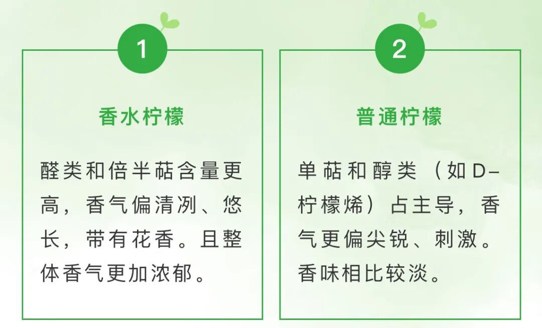 3%的新品都在追同一种柠檬，但99%用错了方式"