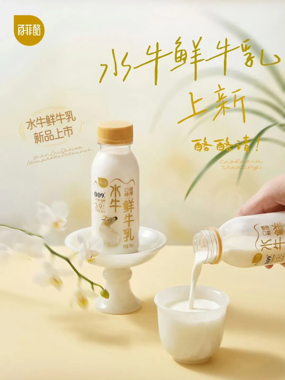 2岁温州商人,要把“广西奶”卖上市"