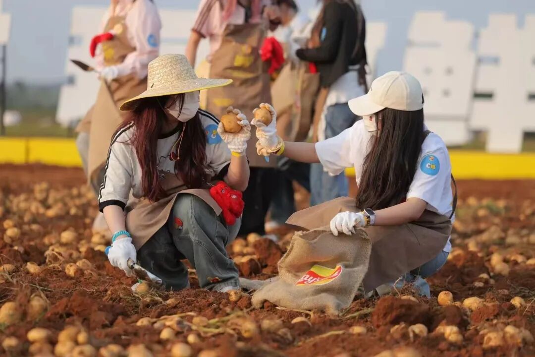 半年斩获近3000亿，百事集团在中国市场干了这几件大事！