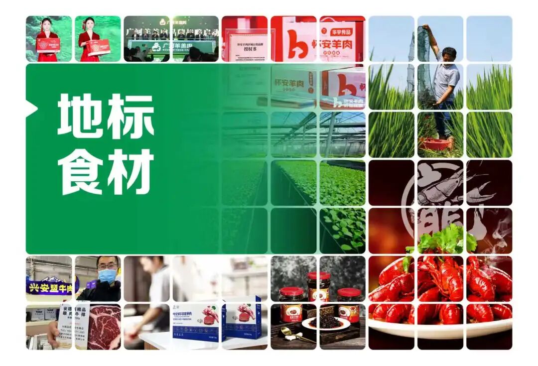 000款爆品代理,600+企业直接对接……一本“2026星品大典”就够了!"
