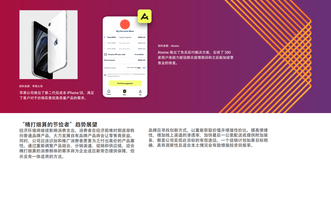 十大全球消费趋势报告