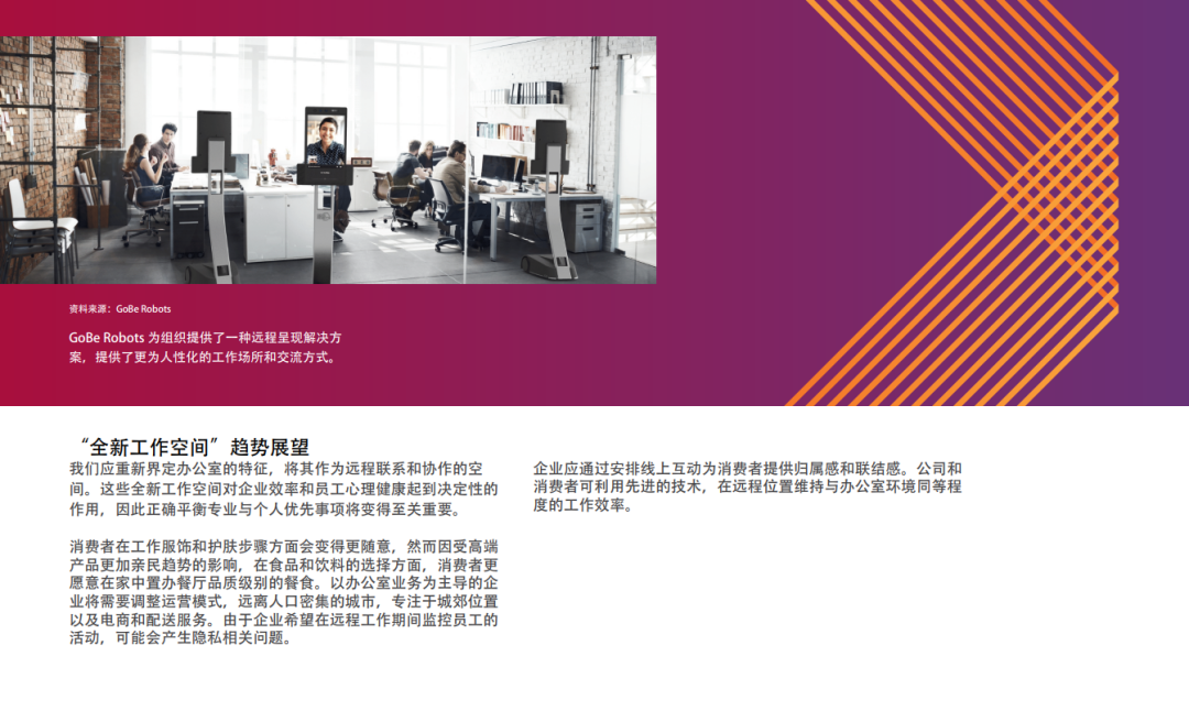 十大全球消费趋势报告