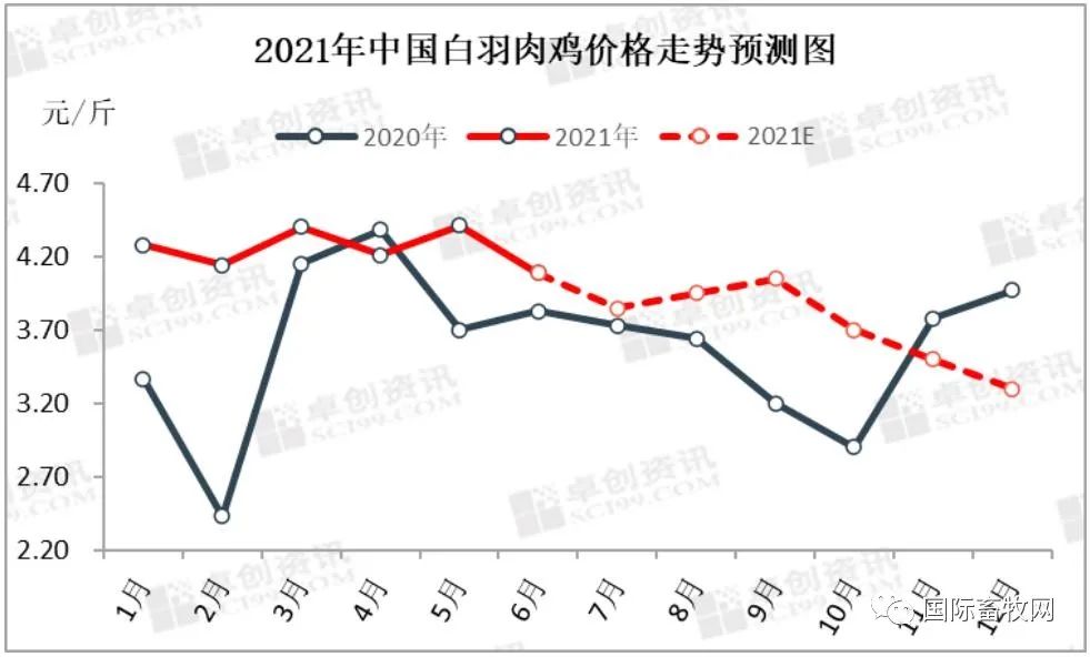 2021下半年白羽肉鸡行业不确定性增加