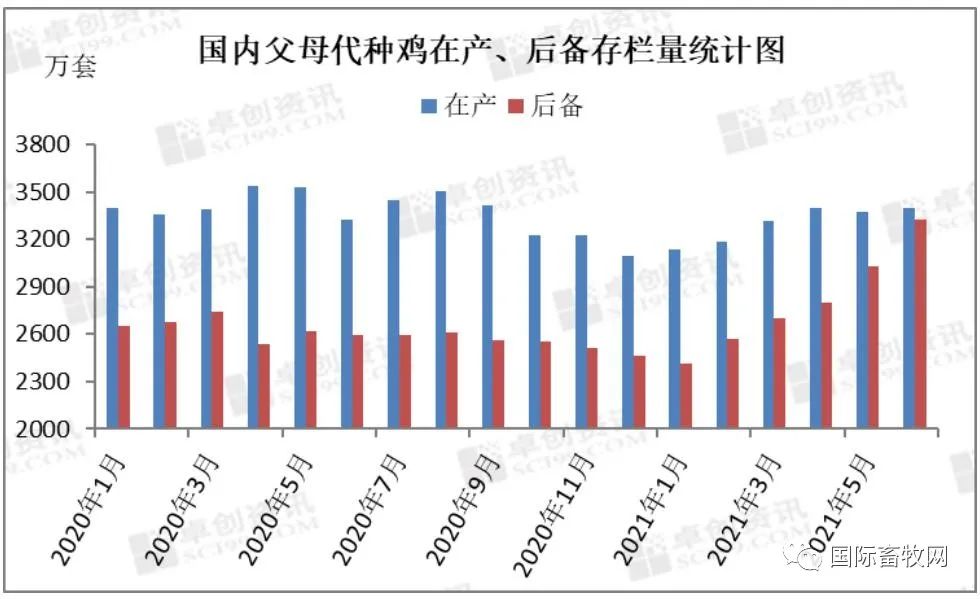 2021下半年白羽肉鸡行业不确定性增加