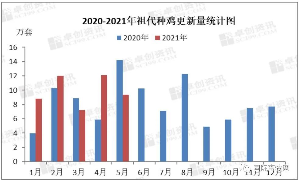 2021下半年白羽肉鸡行业不确定性增加