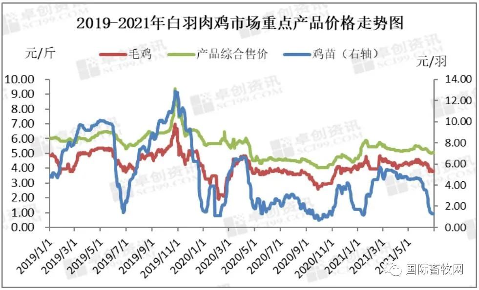 2021下半年白羽肉鸡行业不确定性增加
