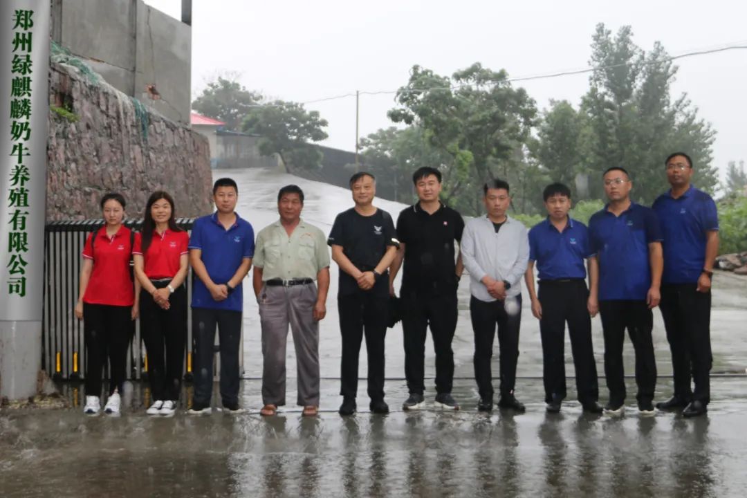 【河南纪实】山顶上的牛场：风吹雨打，依然矗立在那里
