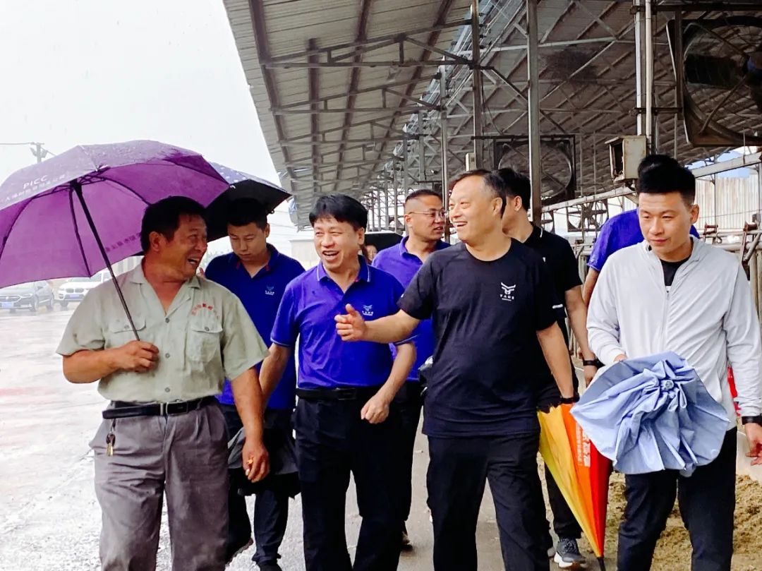 【河南纪实】山顶上的牛场:风吹雨打,依然矗立在那里