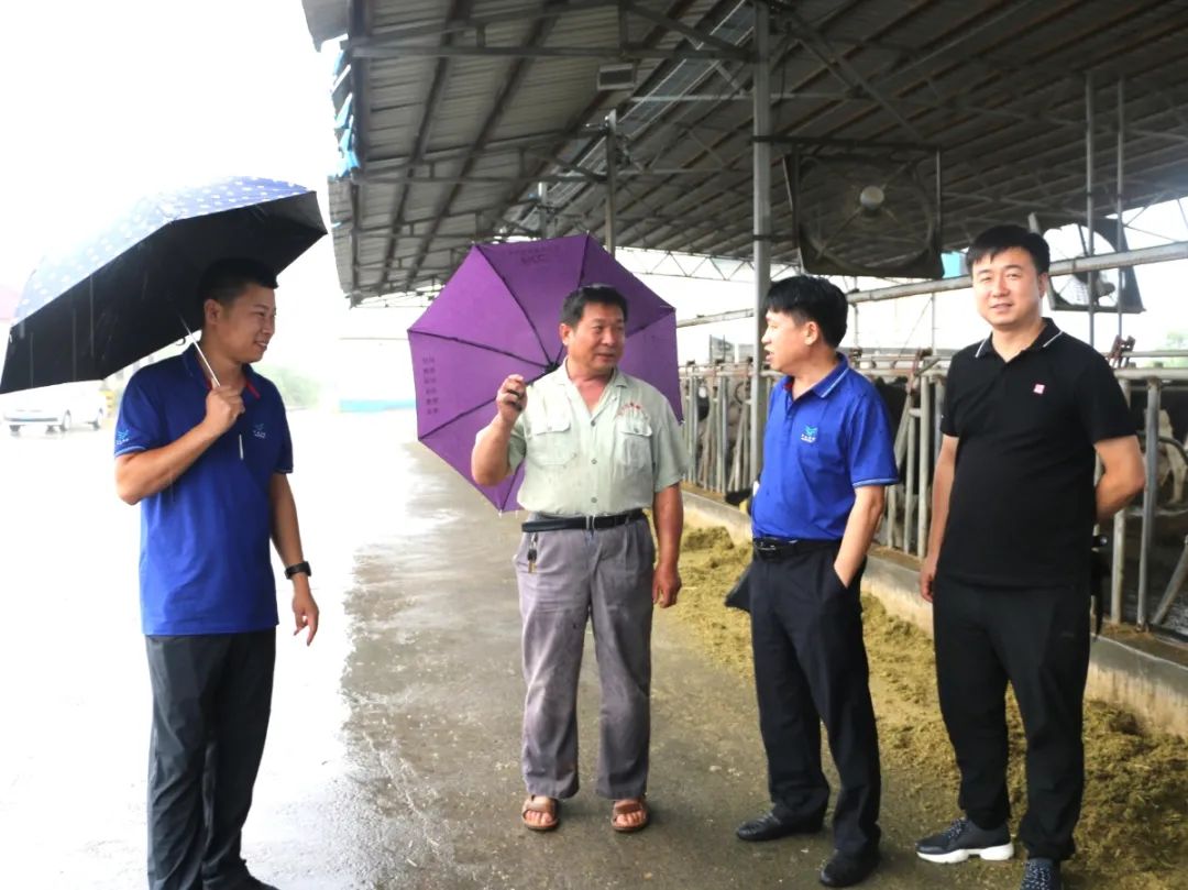 IMG_1447.JPG 【河南纪实】山顶上的牛场:风吹雨打,依然矗立在那里