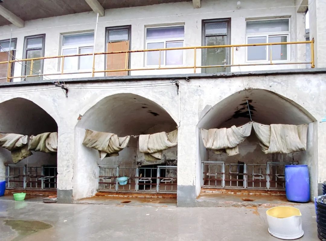 【河南纪实】山顶上的牛场:风吹雨打,依然矗立在那里
