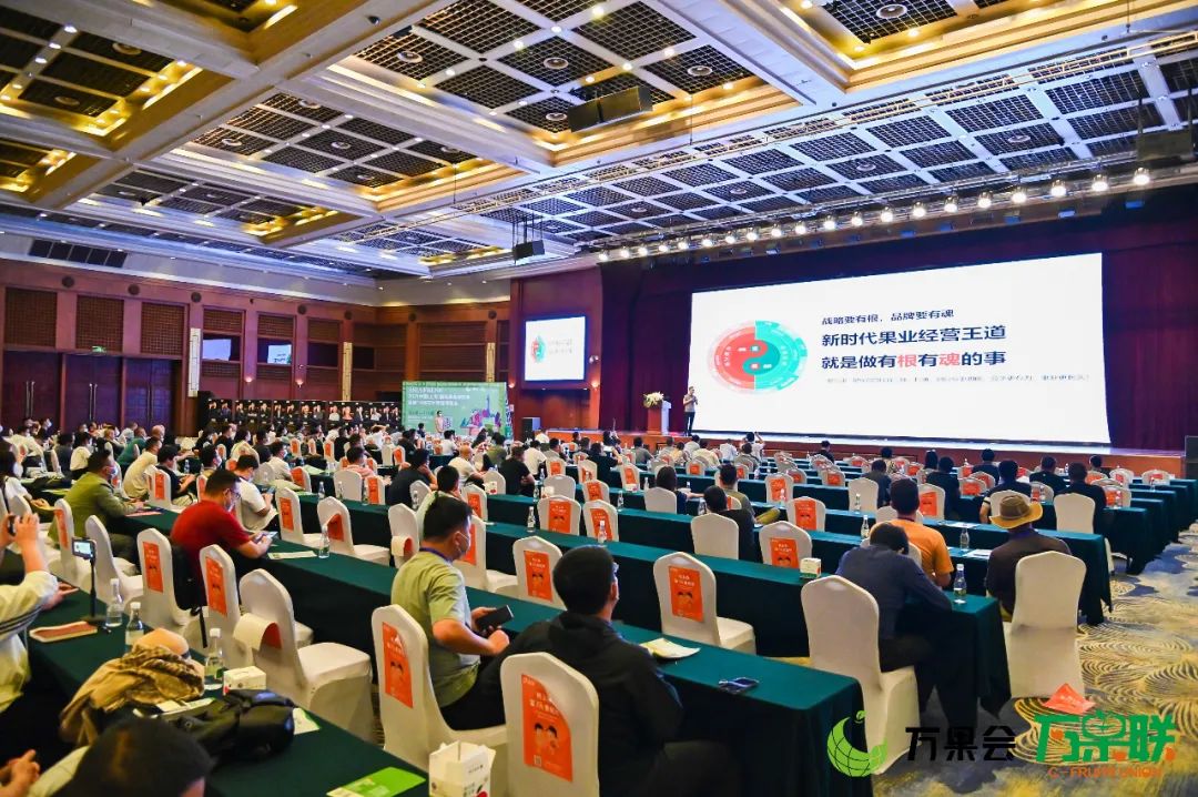 第三届云果会盛大开幕，助力云南打造世界一流“绿色食品牌”