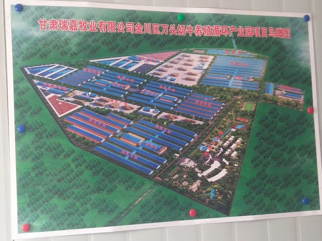 庄园牧场金川区万头奶牛养殖循环产业园项目预计年末完工