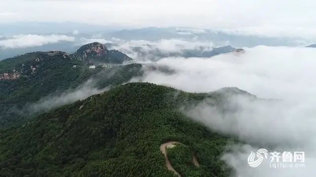 奶牛存栏量将达到万头!大项目推动临朐县畜牧业转型升级