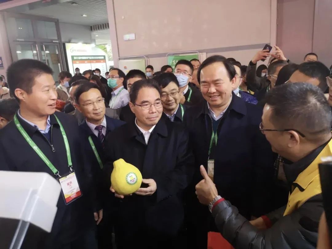 11月12-15日,第十九届中国国际农产品交易会如期开幕