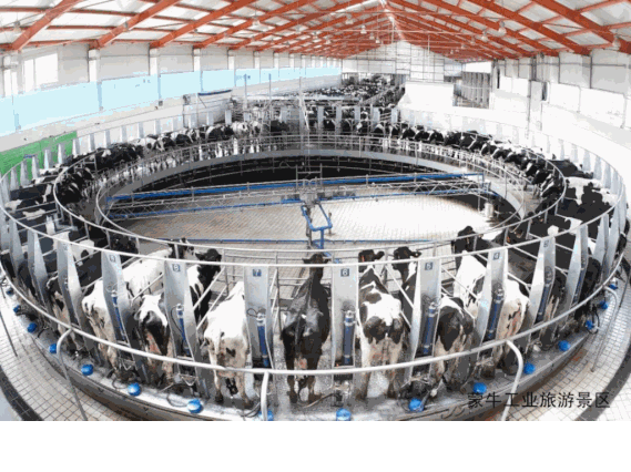 呼和浩特：向“世界乳都”加速迈进！