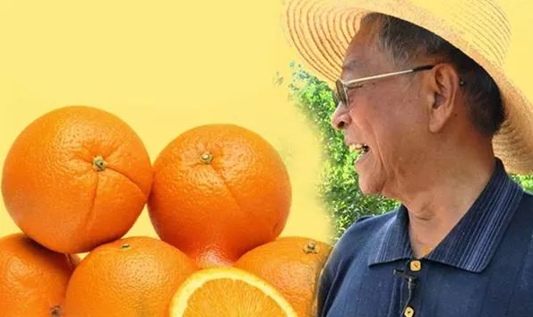 首发 | NFC果汁后，褚橙又杀进了气泡水市场！