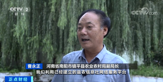 出栏一头肥猪,亏43元!价格腰斩,销量一直下降