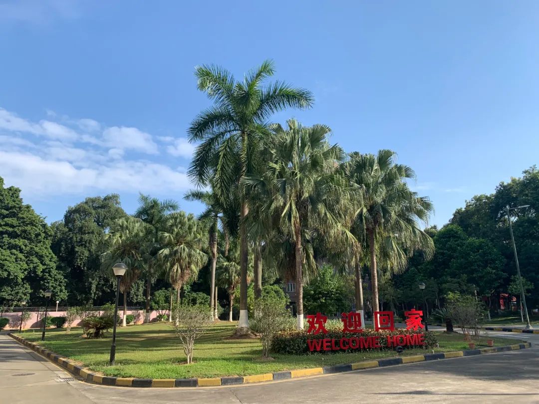 看旺旺的工厂,还以为来到了游乐园