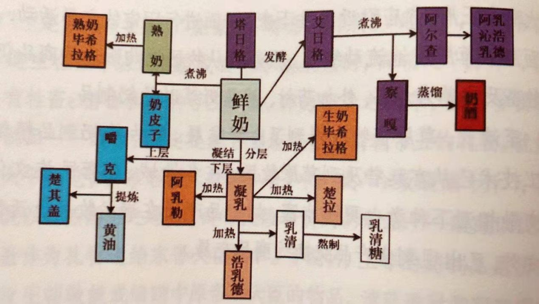 图片6.png 在锡林郭勒吃奶酪,感受从未体验过的奇妙