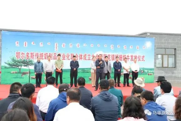 发牛啦!娟姗奶牛发放仪式在鄂尔多斯图克镇举行