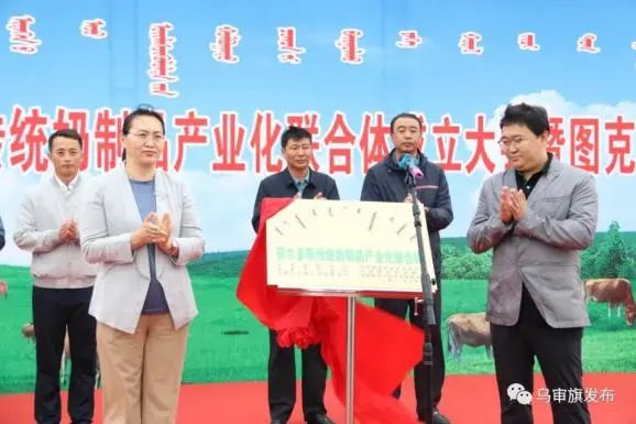发牛啦!娟姗奶牛发放仪式在鄂尔多斯图克镇举行