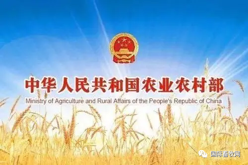 农业部三天发两文,养猪业的春天要来了?