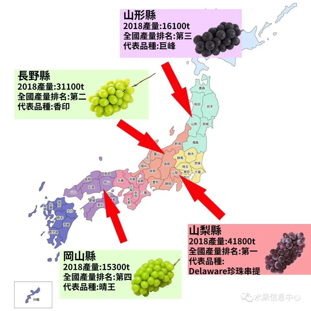 “阳光玫瑰”跌落神坛,值得每一位农业人深思!