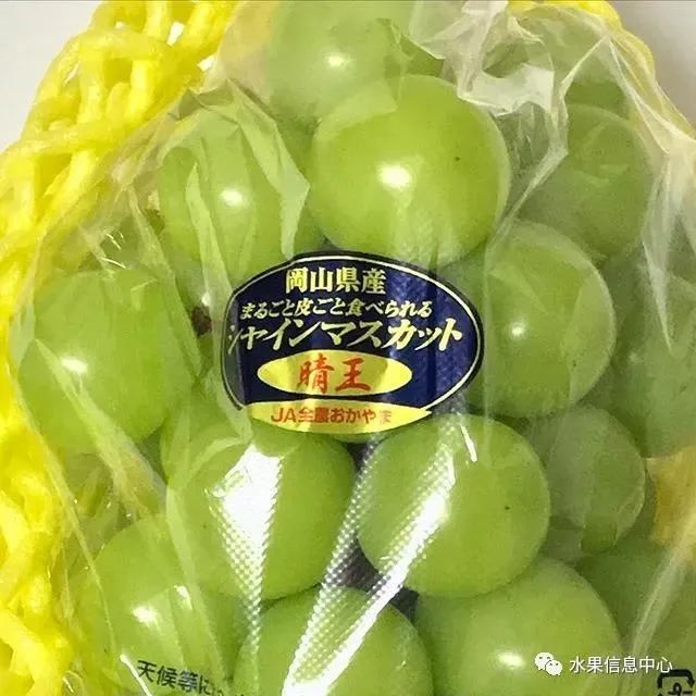“阳光玫瑰”跌落神坛,值得每一位农业人深思!