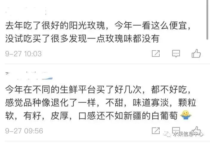 “阳光玫瑰”跌落神坛,值得每一位农业人深思!