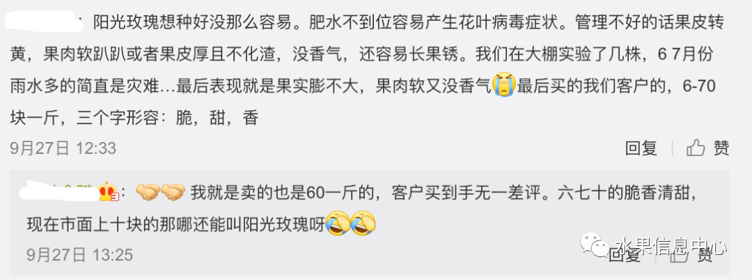 “阳光玫瑰”跌落神坛,值得每一位农业人深思!