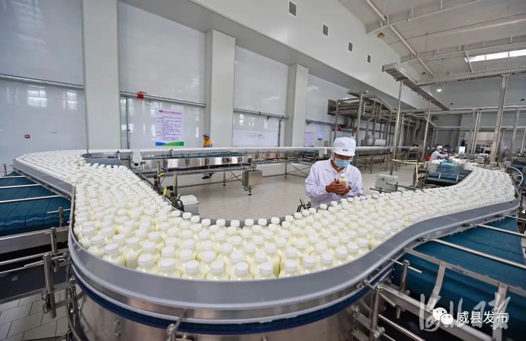 君乐宝威县乳品深加工基地二期项目建成投产