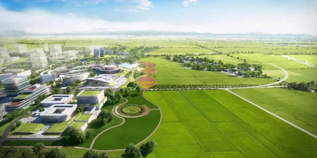 两年来,创建了20个国家级种业产业园!