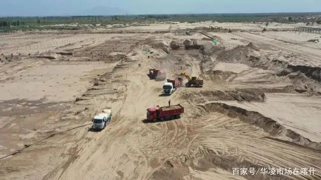 将引进奶牛5000头!新疆巴楚县全面启动奶业振兴行动