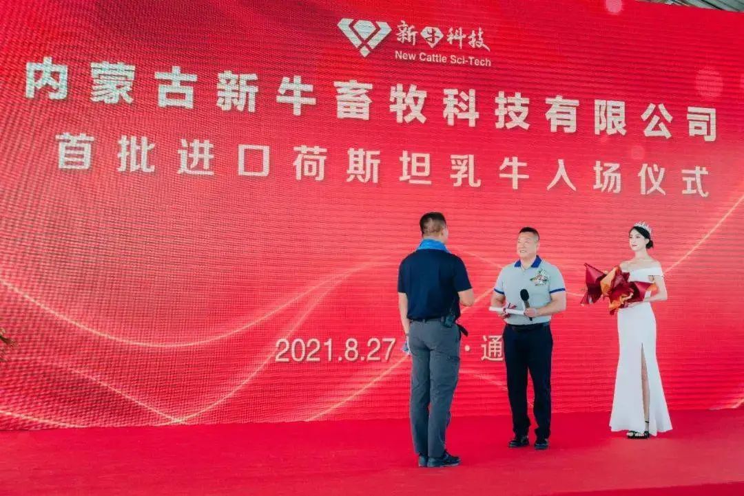内蒙古新牛:3500头荷斯坦乳牛抵达甘旗卡镇养殖基地
