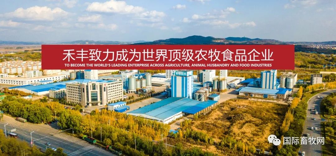 禾丰股份:净利下滑近60%,拟发行15亿元加速一条龙经营