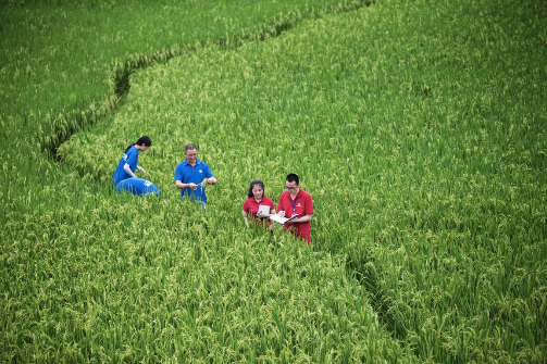 五粮液半年报，见证品牌的力量