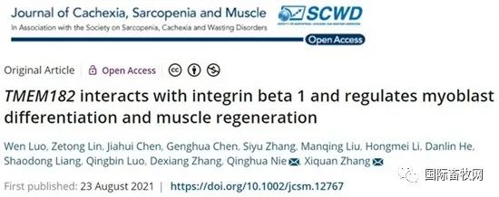 重大育种突破!影响肉鸡产肉和脂肪沉积关键基因被发现