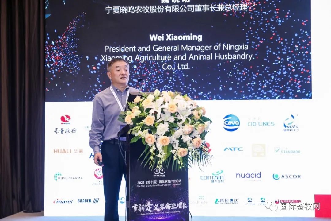 魏晓明:价值共生,资本加速器赋能一枚好蛋