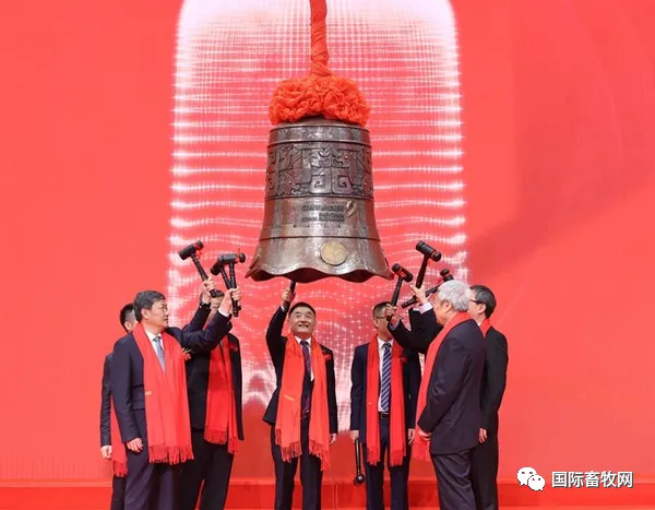 魏晓明:价值共生,资本加速器赋能一枚好蛋