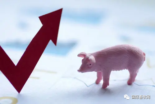 新希望:敬畏养殖行业基本规律,不再以规模扩张为中心