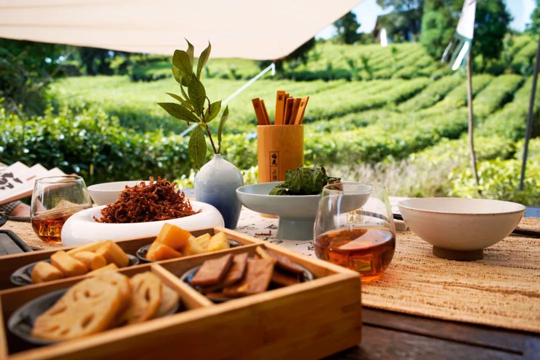 茶酒一味,梅见创造了一个连接时间与空间的新象限