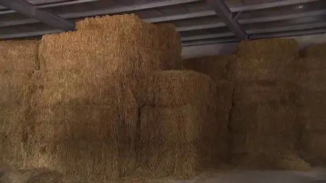 江阴“牛奶梦工厂”即将投产