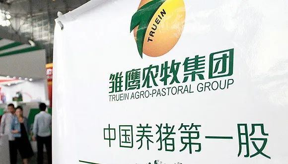 总市值超3800亿！“中国厨房”河南上市食企已达10家！