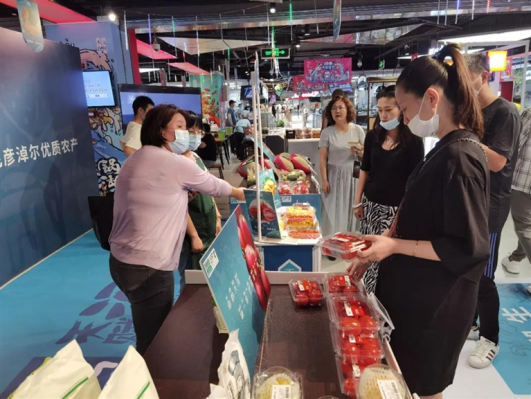 “天赋河套”农产品区域公用品牌引领河套灌区农牧业绿色高质量发展述评