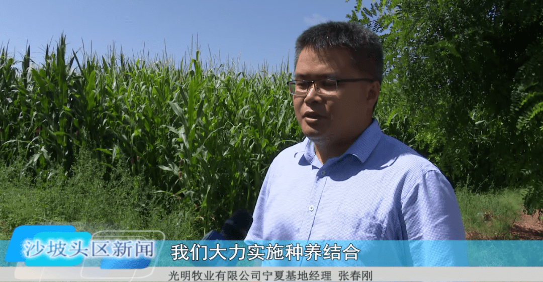 中卫这一牧业，万头奶牛养殖基地即将投入使用…