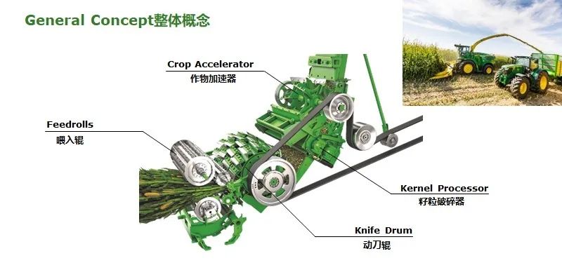 优质玉米青贮的收割和制作及发酵原理