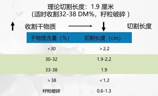 优质玉米青贮的收割和制作及发酵原理