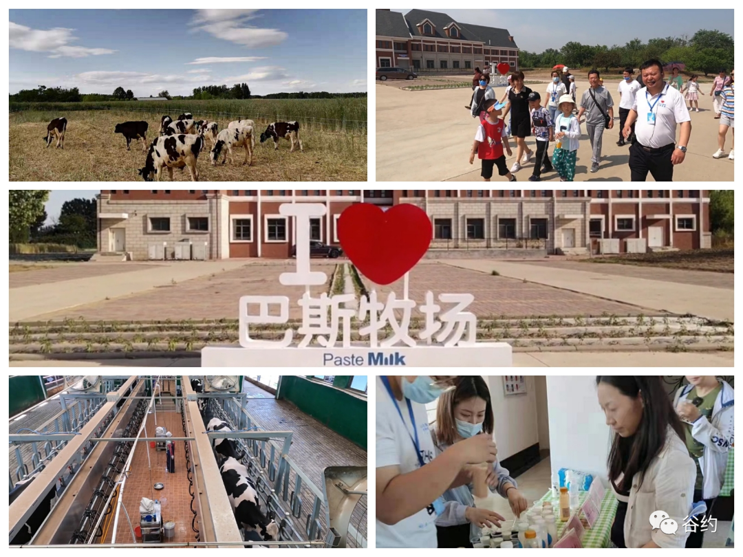 每个人都值得一杯好奶——访廊坊市巴斯牧场创始人李广成