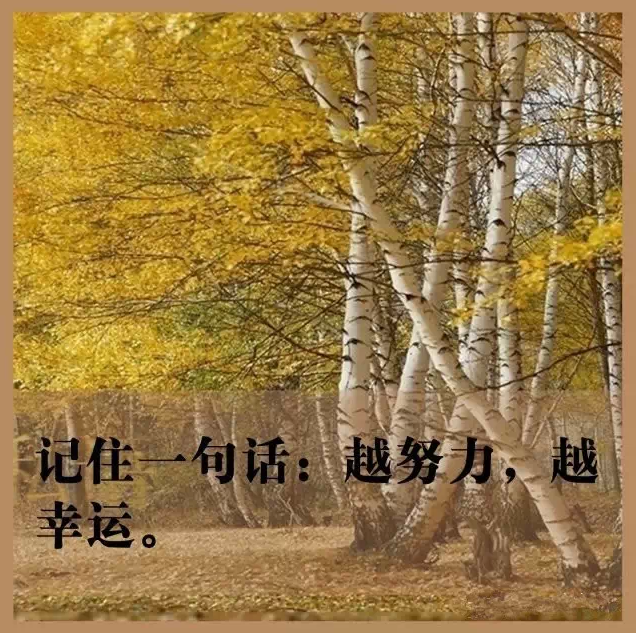 如果你开烟酒店累了，请看这9张图！