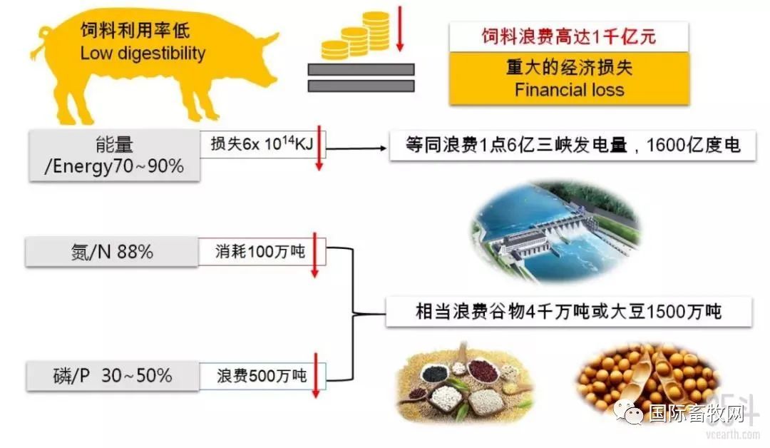 刘永好谈碳中和：养殖业降低料肉比是对减排最大贡献